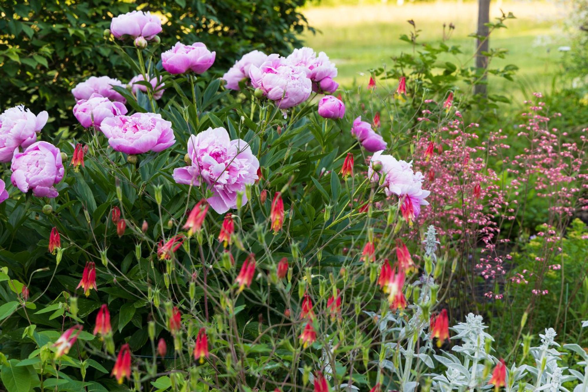Maguire House Bed And Breakfast Ashburnham Luaran gambar