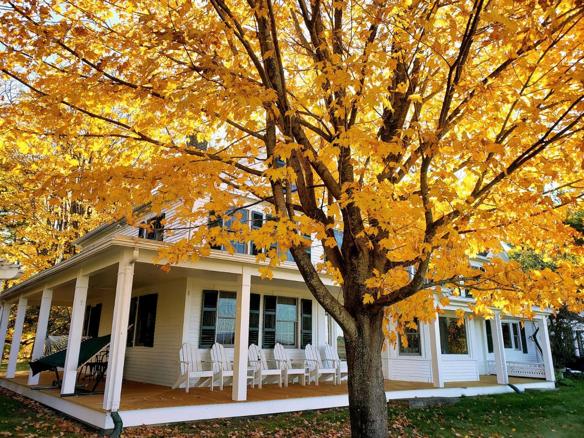 Maguire House Bed And Breakfast Ashburnham Luaran gambar