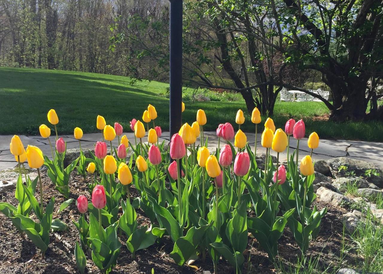 Maguire House Bed And Breakfast Ashburnham Luaran gambar
